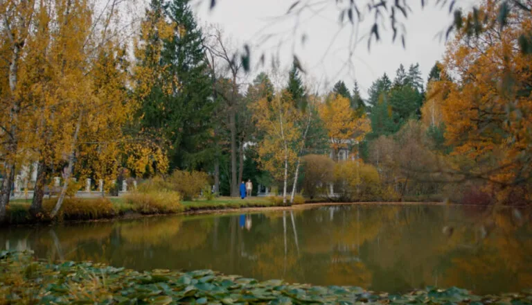 Момент из 19 серии 2 сезона